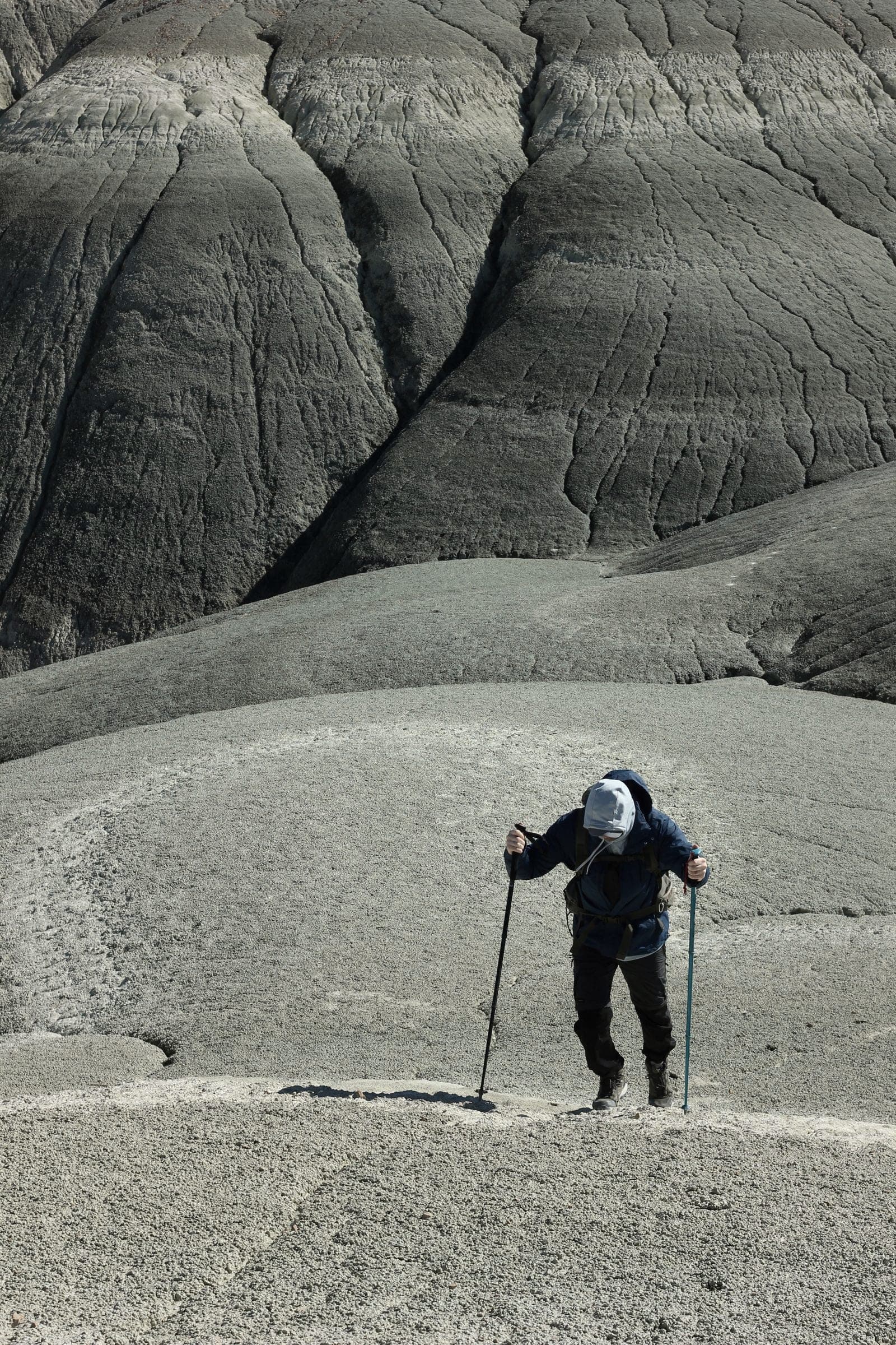 Contour Trail Poles