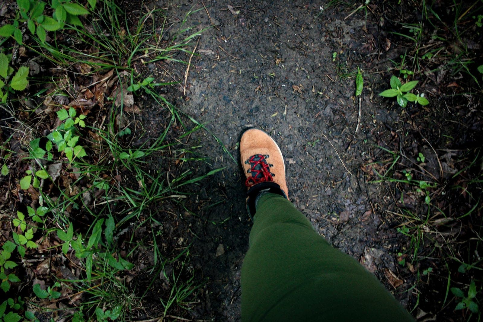Loam Approach Shoe
